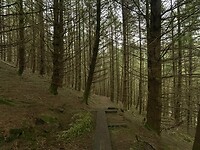 IMG_6552