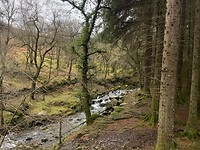 IMG_6581