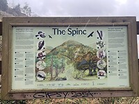 IMG_6584