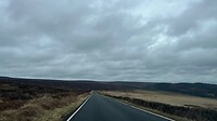 IMG_1386