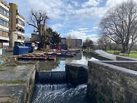 IMG_6948