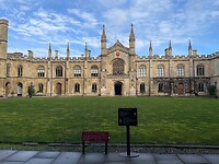 IMG_6956