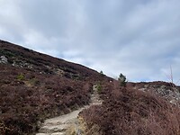 IMG_7675