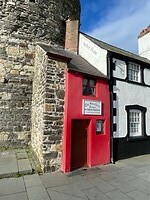 IMG_7731