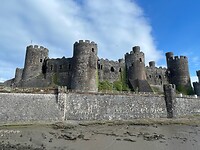 IMG_7736