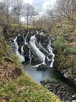 IMG_7769