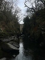IMG_7771