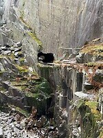 IMG_7782