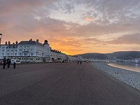 IMG_7791