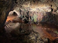 IMG_7751