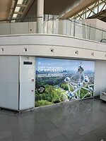 IMG_0260
