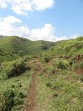 IMG_0873