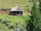 IMG_0904