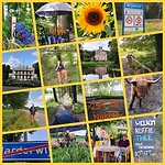 InCollage_20230725_182755616