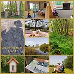 InCollage_20240501_170439607
