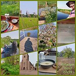 InCollage_20240502_162732780