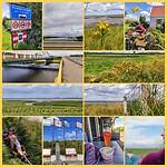 InCollage_20240711_162935806