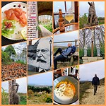 InCollage_20241103_220838520