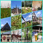 InCollage_20250530_182616998