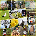 InCollage_20260328_185713541