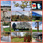 InCollage_20260409_201258948