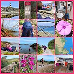 InCollage_20260510_201029185