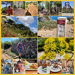 InCollage_20260511_160411435