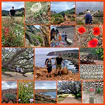 InCollage_20260513_160819114