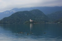 IMG_3196