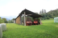 IMG_3214