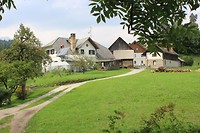 IMG_3218