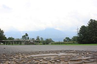 IMG_3223