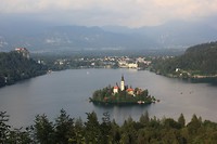 IMG_3229