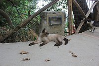 IMG_3384