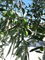 20190913_152504