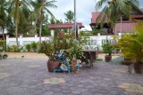 Ons terras