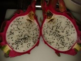 dragon fruit