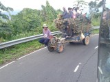 Onderweg naar Dalat