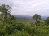 Onderweg naar Dalat
