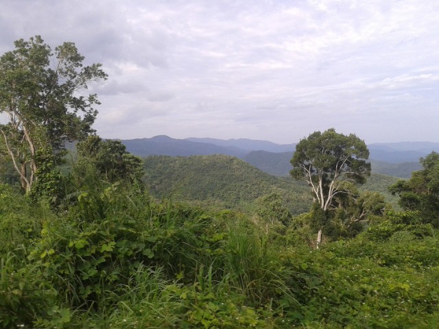 Onderweg naar Dalat