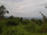 Onderweg naar Dalat