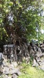 ? tempel