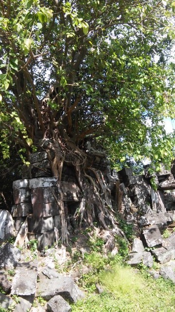 ? tempel