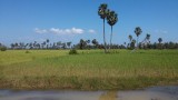 countryside