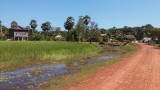 countryside