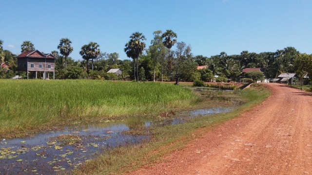 countryside