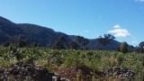 Bolaven plateau