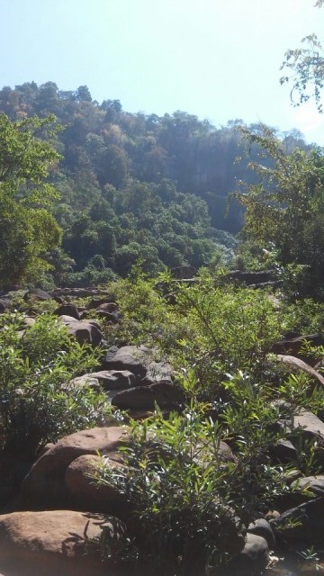 Bolaven plateau