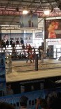 Kickboks wedstrijd