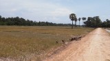 countryside
